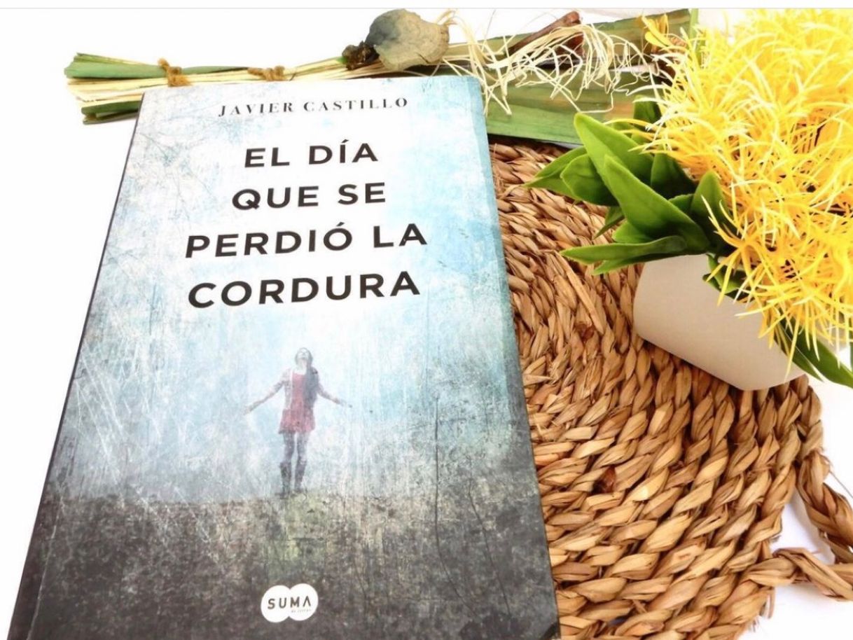 Libros El día que se perdió la cordura.