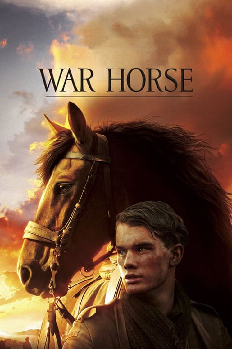 Película War Horse (Caballo de batalla)