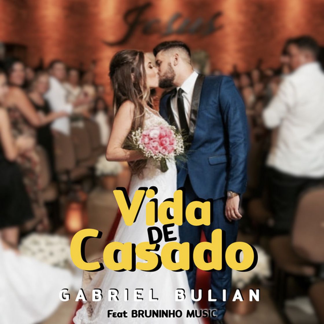 Canción Vida de Casado