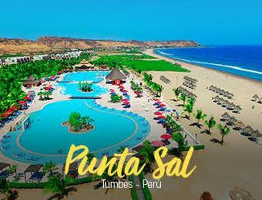 Punta Sal