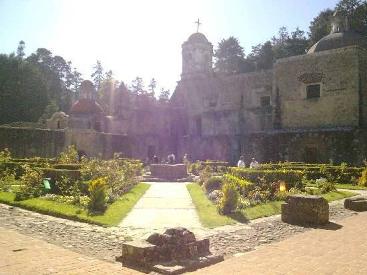 Lugar Desierto de Los Leones