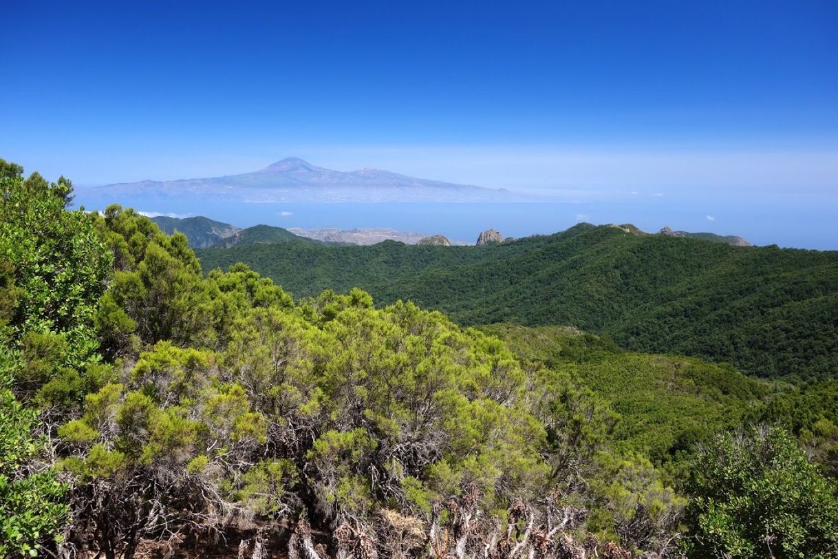 Lugar Lugares secretos de Tenerife