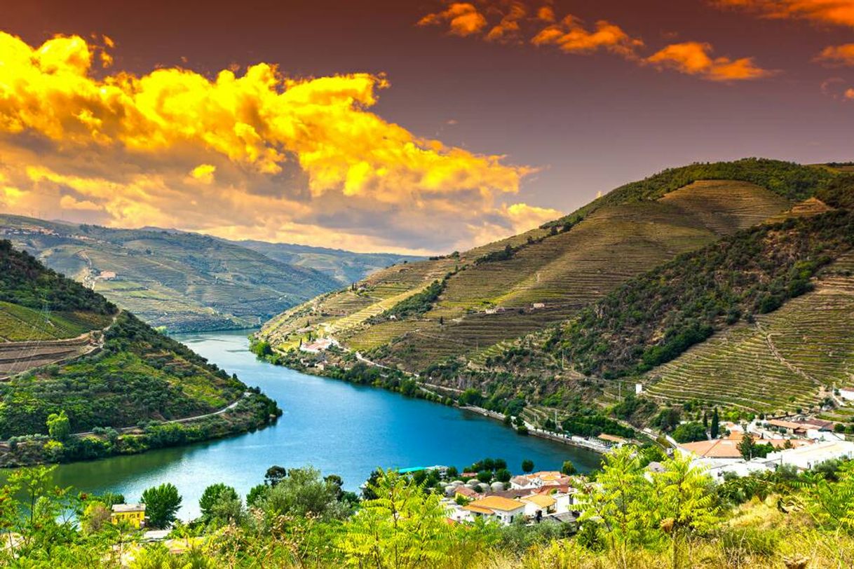 Place El encanto de Oporto y el Valle del Duero