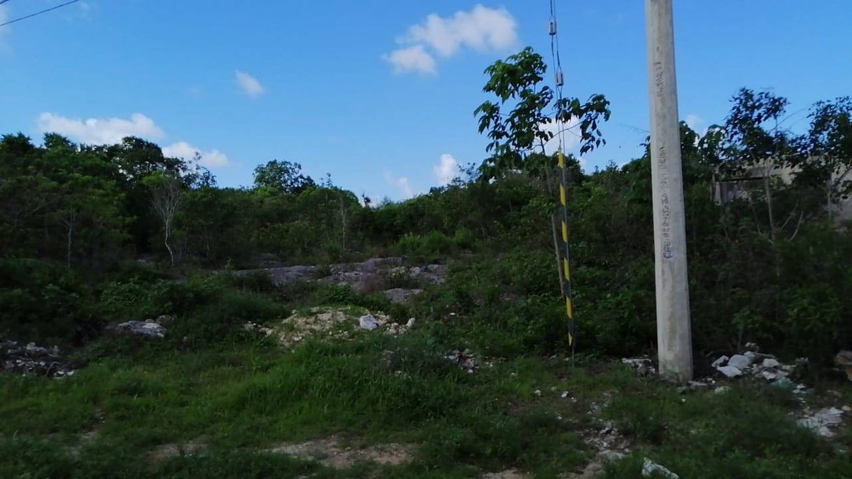 Place Isla Mujeres