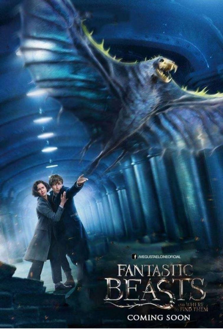 Movie Animales fantásticos: Los secretos de Dumbledore