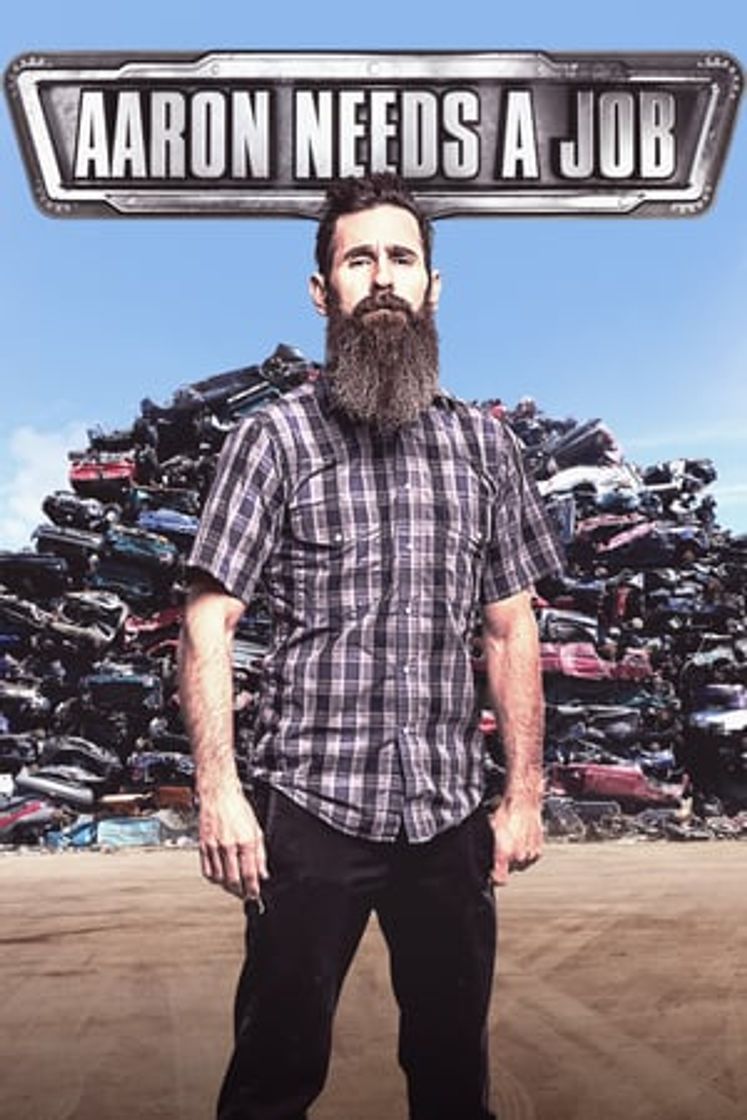 Serie Aaron Kaufman busca trabajo