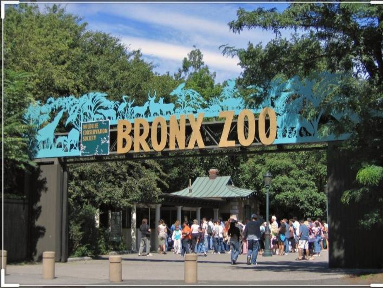 Serie The Bronx Zoo