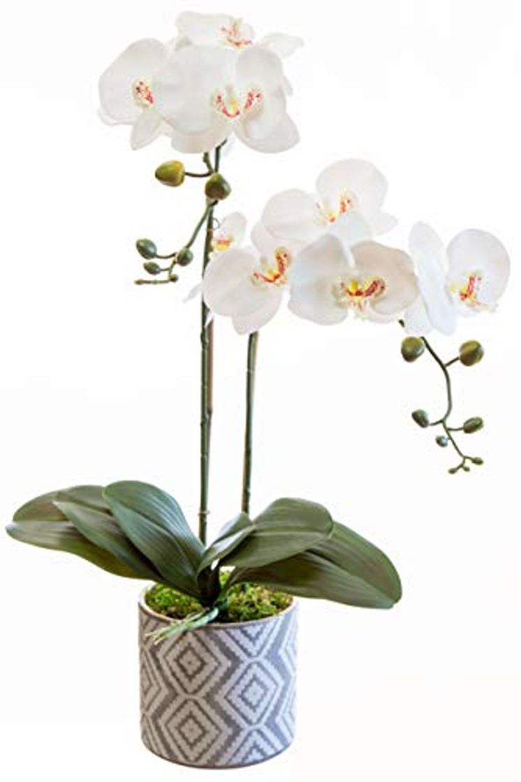 Social Orquidea Artificial, Altura 65 cm, Phalaenopsis, Maceta de Cerámica, Ideal para Decoración