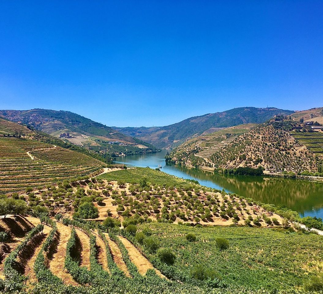 Lugar Vale do Douro
