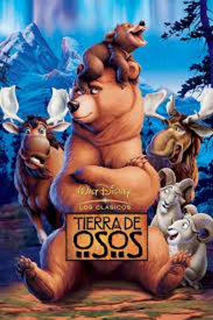 Movie Tierra de osos