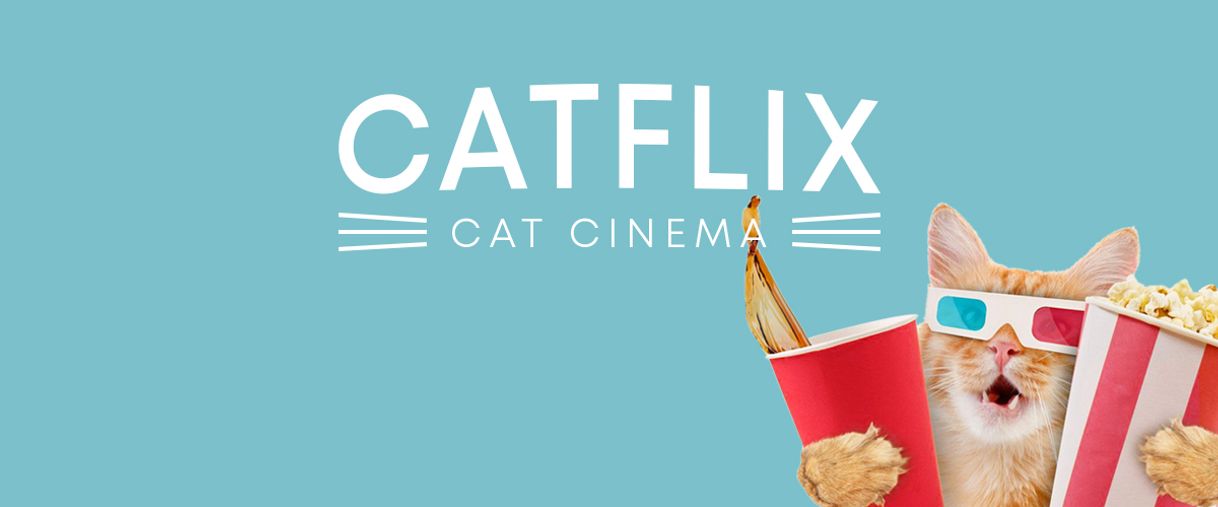 Fashion Catflix