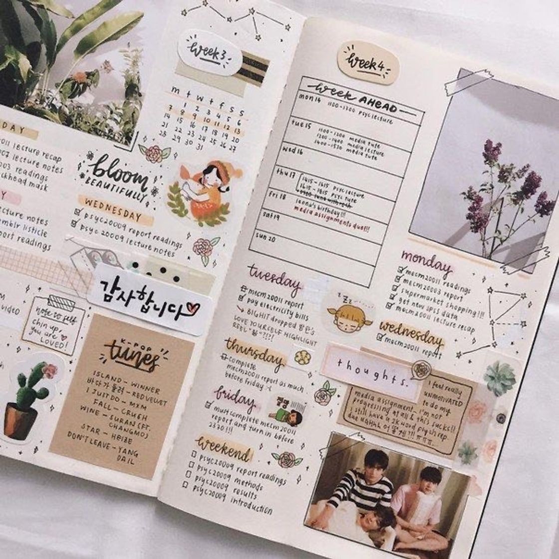 Social Idéias de página para planner 📚