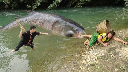 Survival Skill: World's Biggest Fish Bighead carp Found In River ...