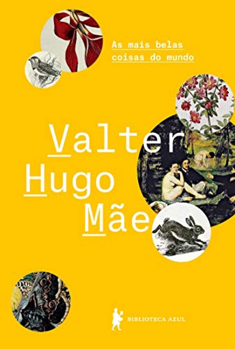 Libros As mais belas coisas do mundo