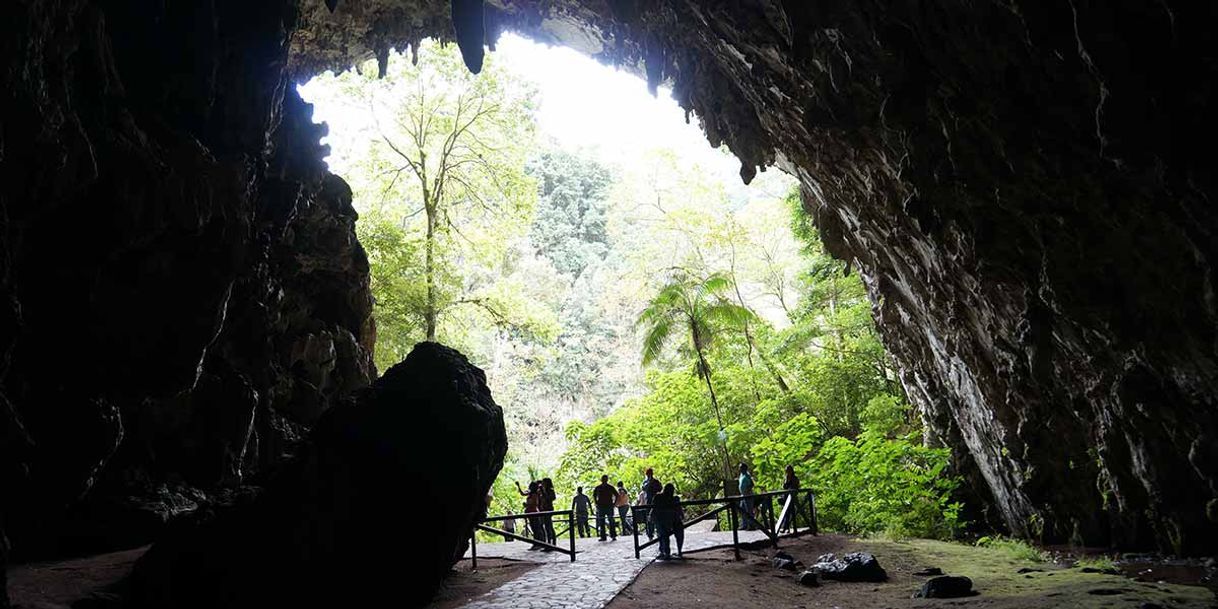 Lugar Parque Nacional El Guácharo