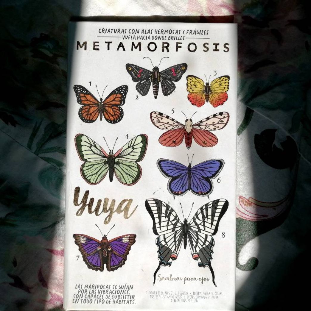 Product Metamorfosis paleta de sombras 🦋 