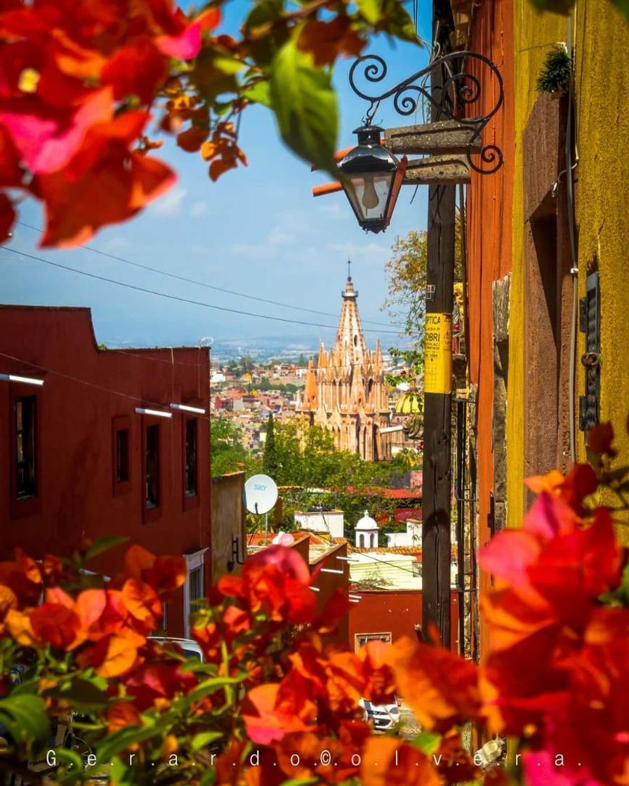 Place San Miguel de Allende