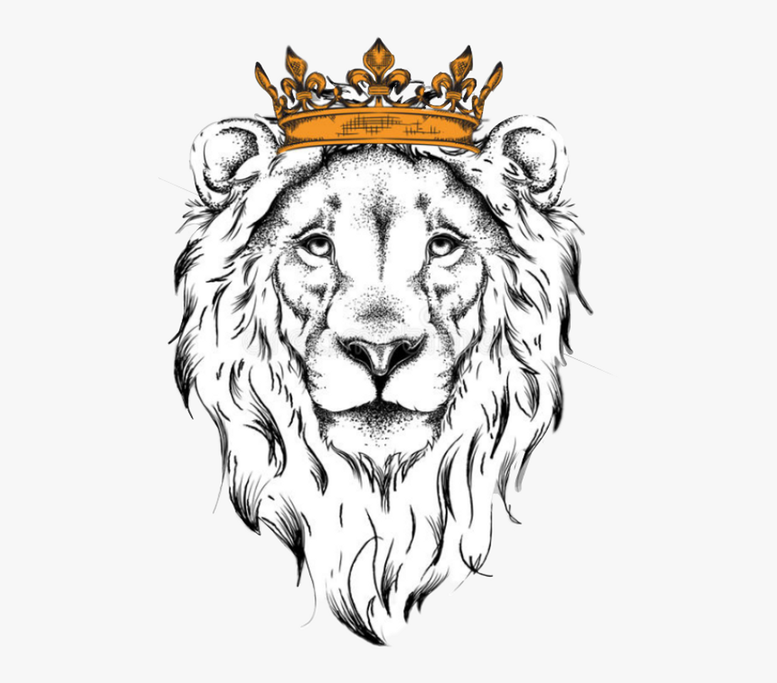 Moda Leão🦁♌