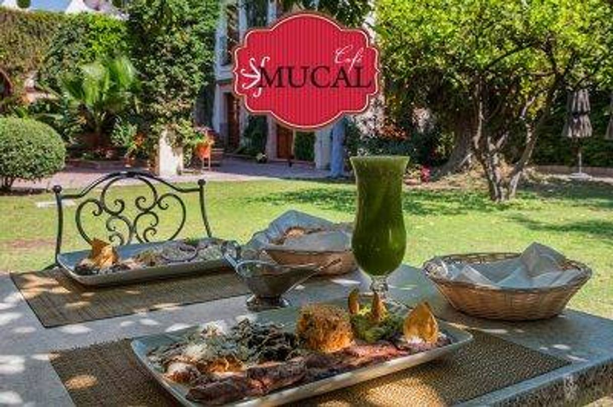 Restaurantes Café MuCal