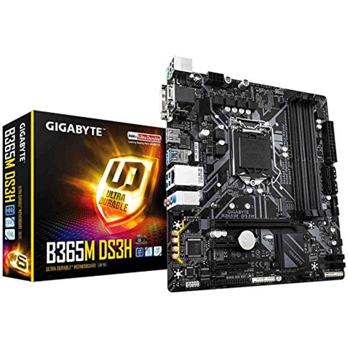 Social Gigabyte B365M-DS3H