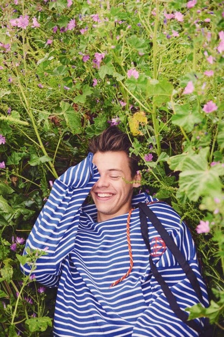 Music Sweet Creature