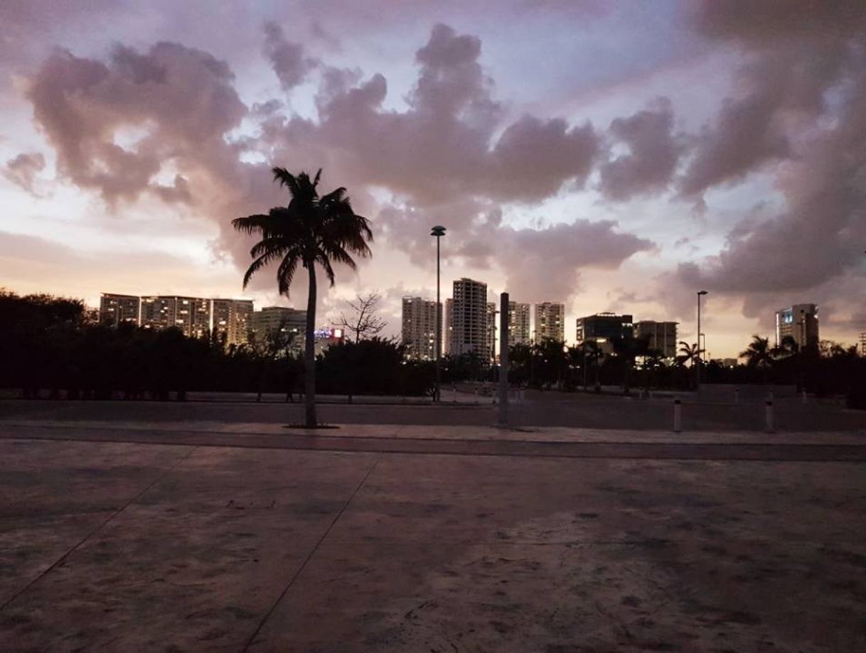 Place Malecon Cancun