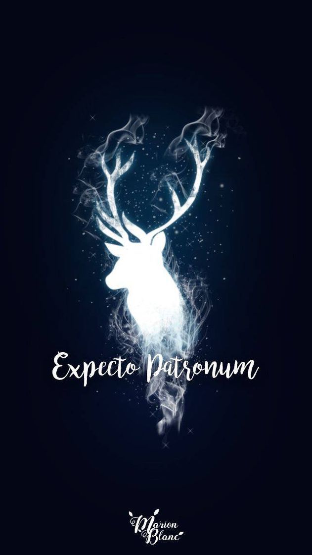 Social Harry Potter wallpaper