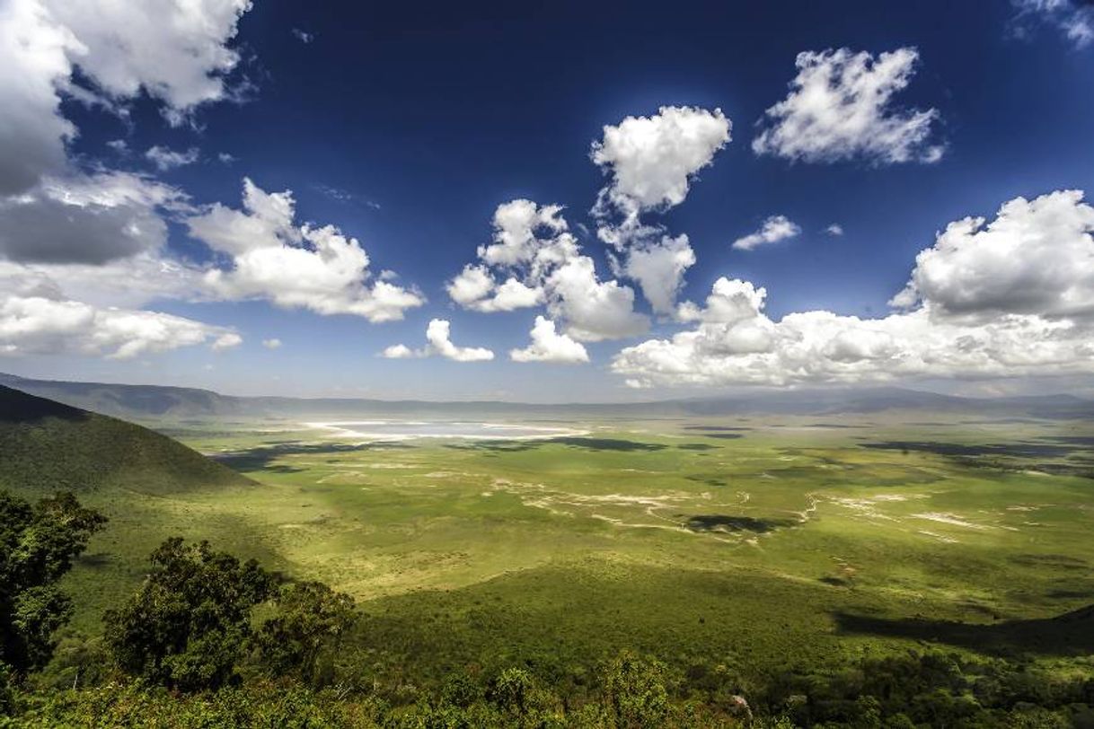 Lugar Ngorongoro Conservation Area