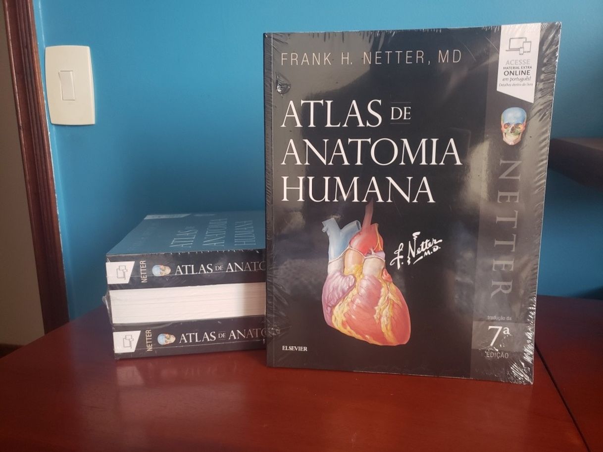 Fashion Atlas de Anatomia Humana - Frank Netter - 7ª Edição 