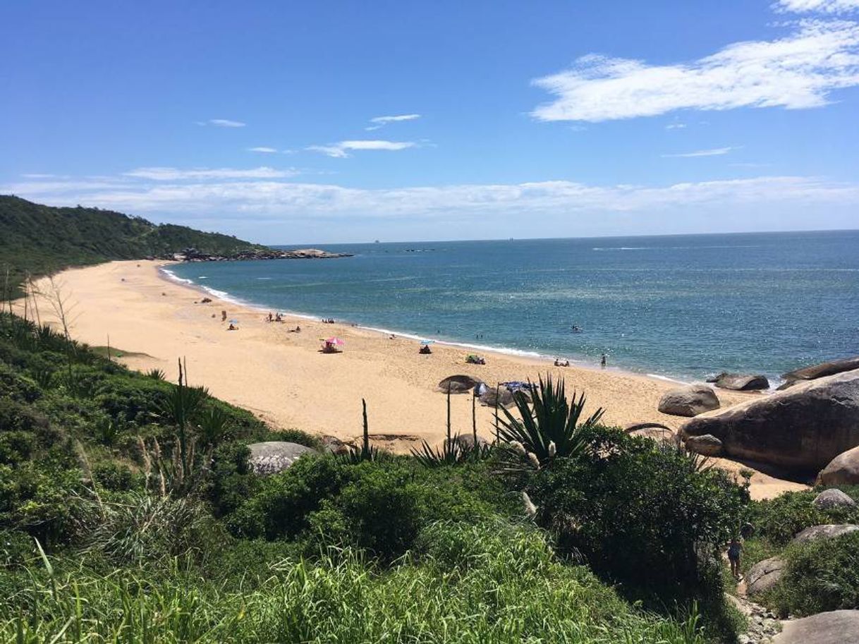 Lugar Praia de Taquarinhas