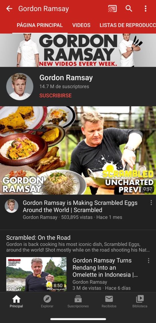 Fashion Gordon Ramsey Cocina