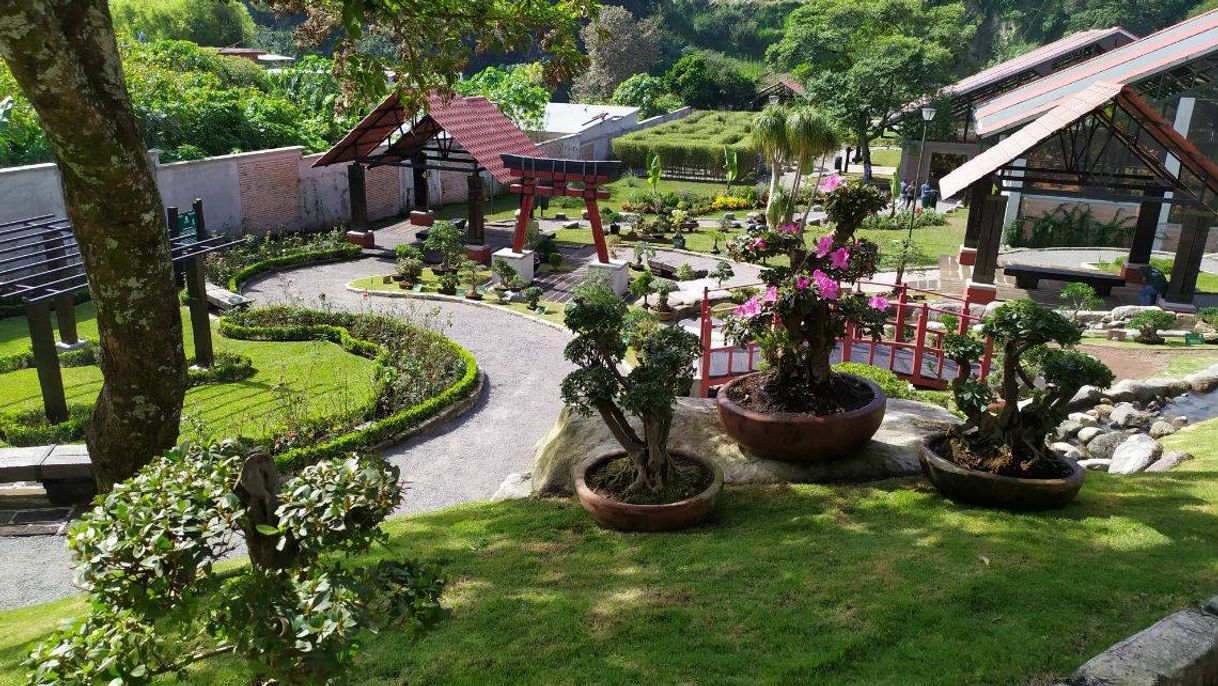 Lugar BIORI Jardín Botánico de Orizaba