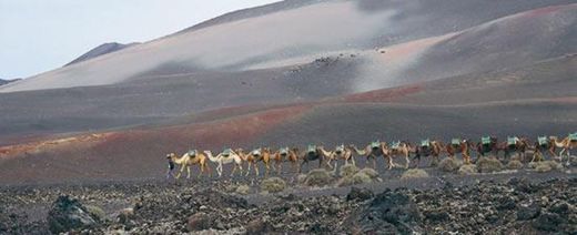 Parque Nacional de Timanfaya