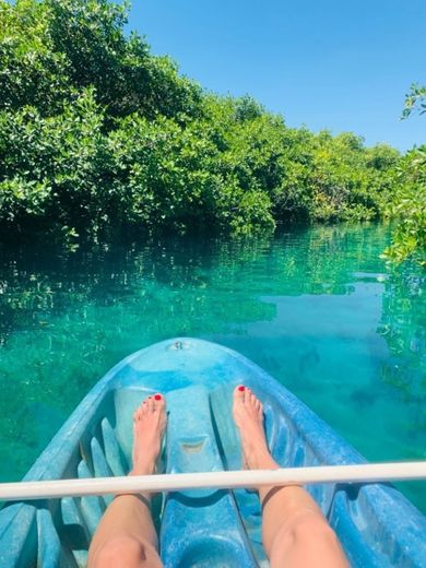 Cenote Manatí