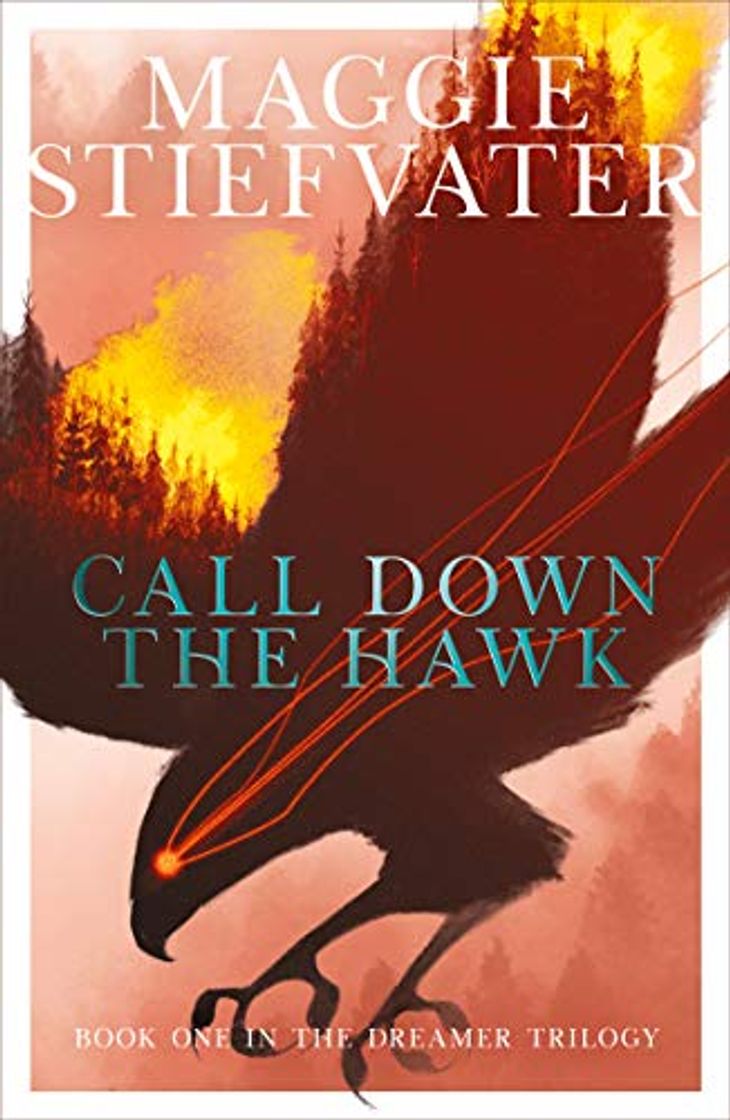 Libro Call Down the Hawk