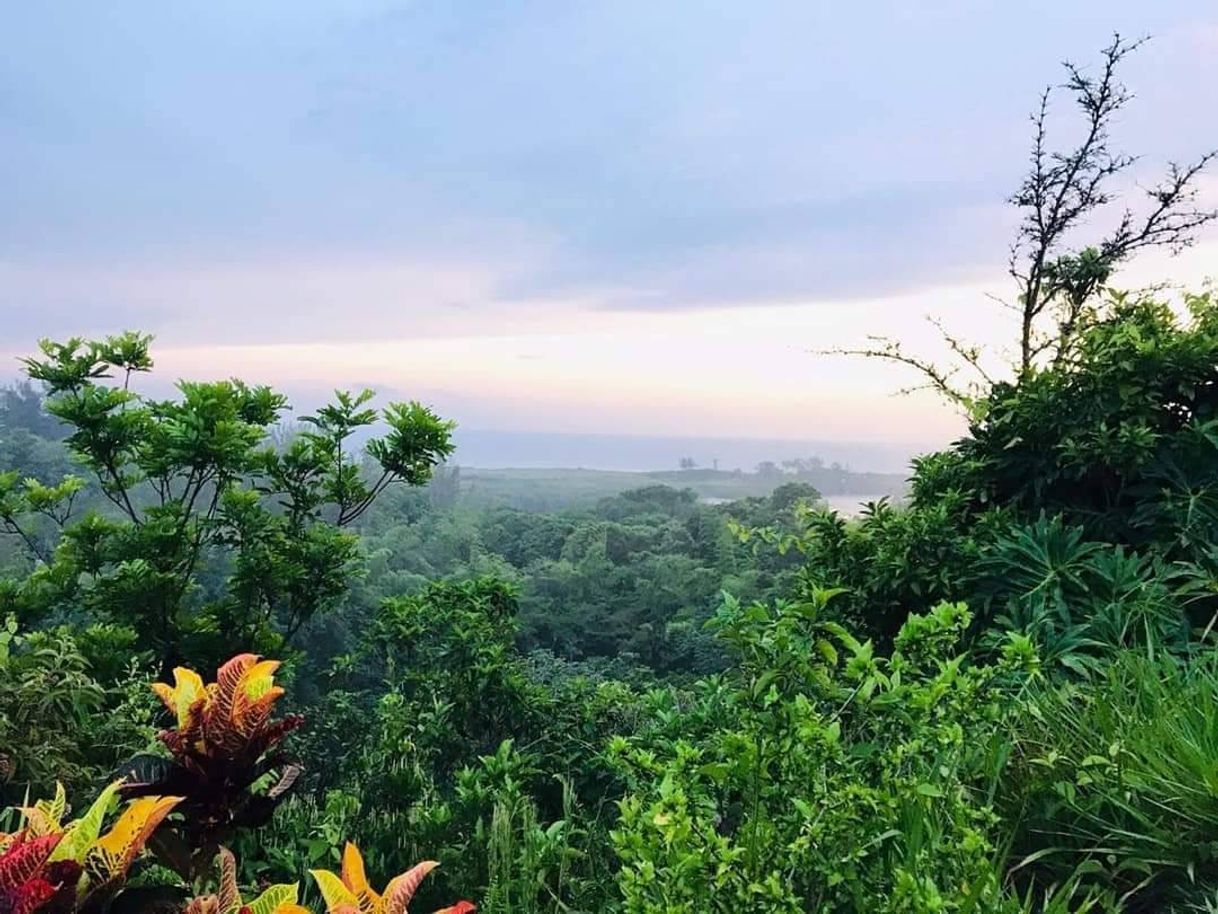 Places Reserva de la biosfera Los Tuxtlas