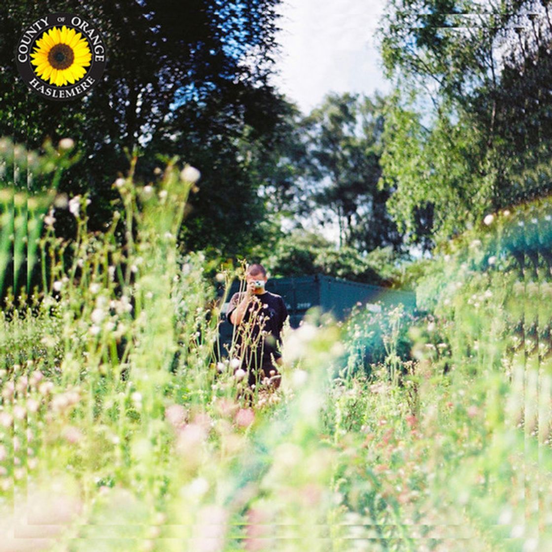 Canción Sunflower