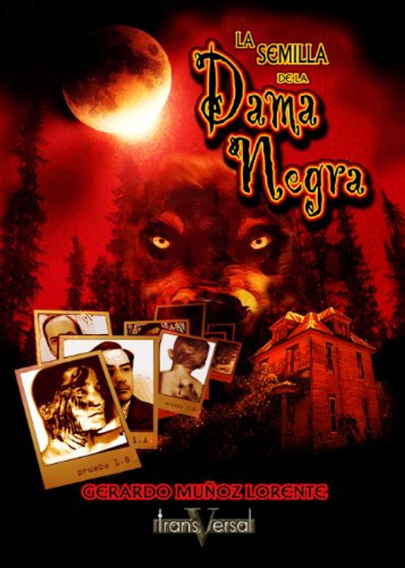 Libro La semilla de la dama negra