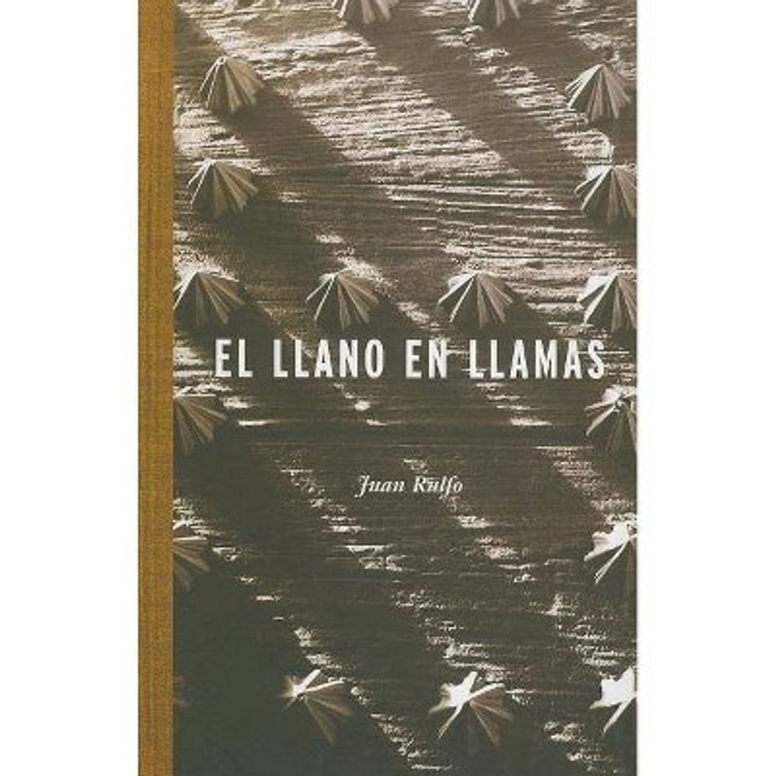 Book El Llano en llamas