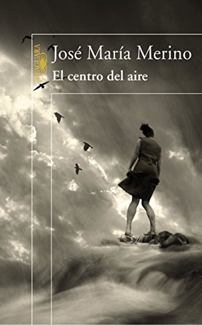 Libro El centro del aire