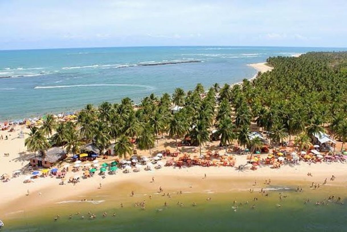 Lugar Praia do Gunga