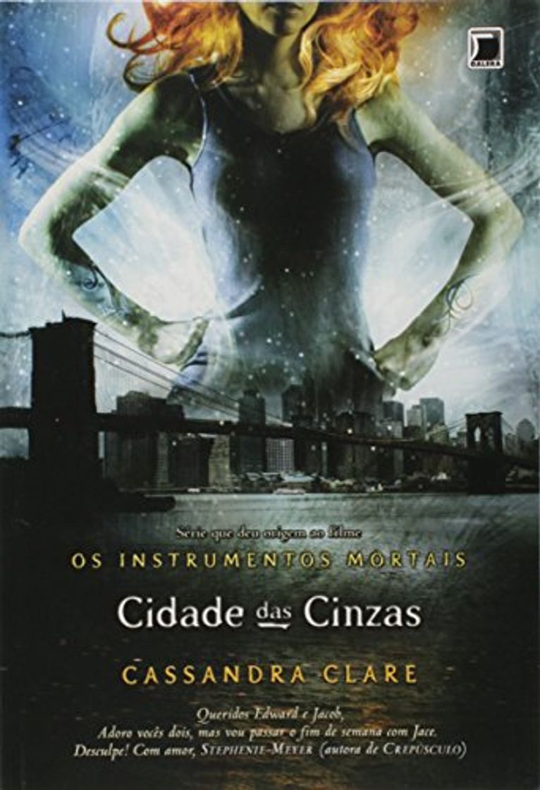 Book Cidade das Cinzas