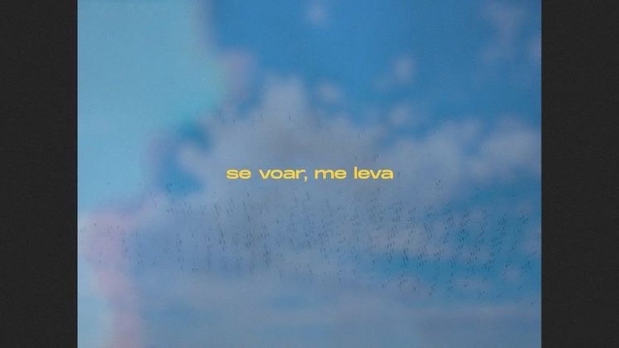 Social Me leva - phill veras