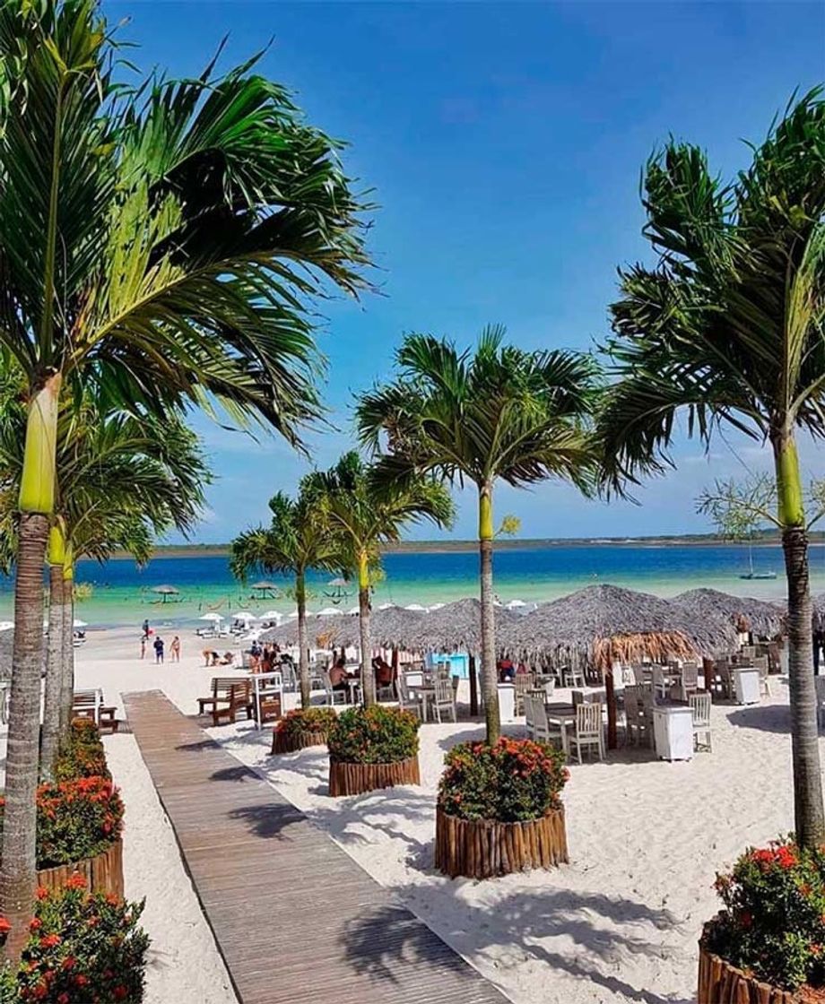 Social Jericoacoara Ceará 