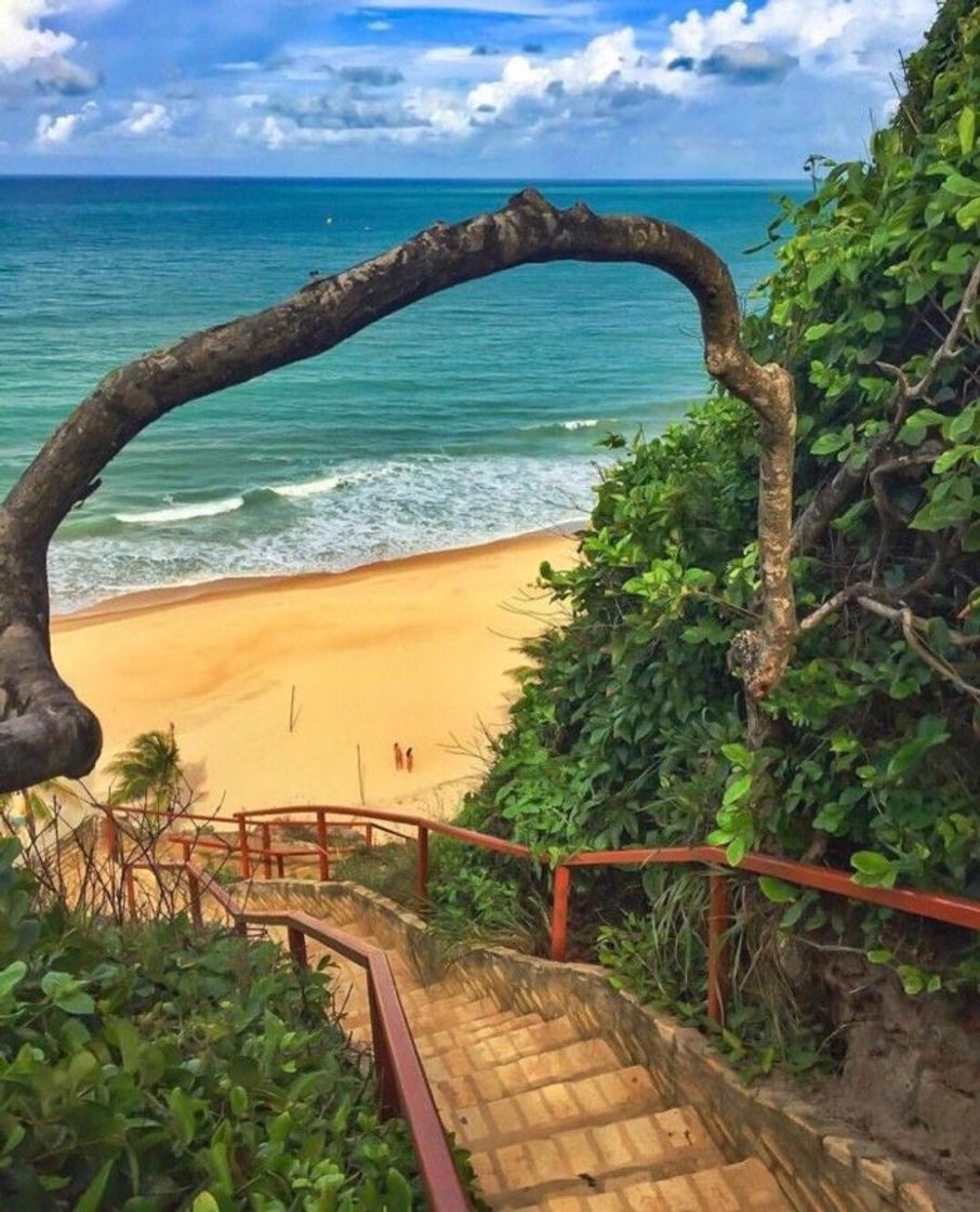 Social Praia de canoa quebrada Ceará 
