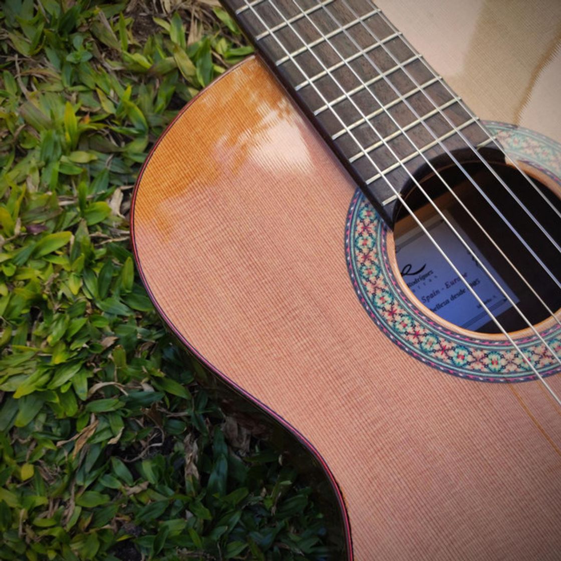 Canción Spring 2Nd movement - The Four Seasons Guitar