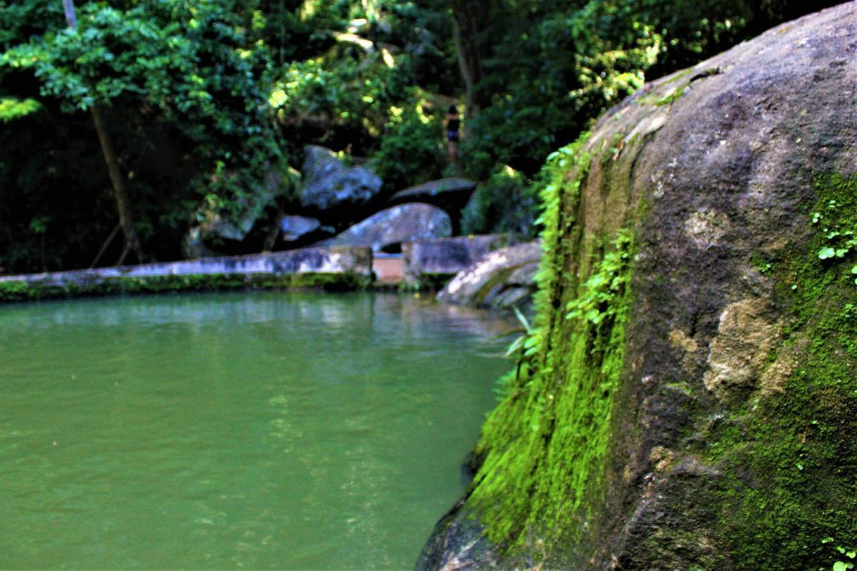 Moda Fotografia Natureza