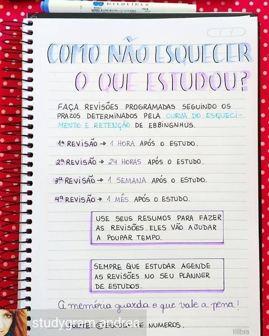 Fashion Como não esquecer o que estudou 📚