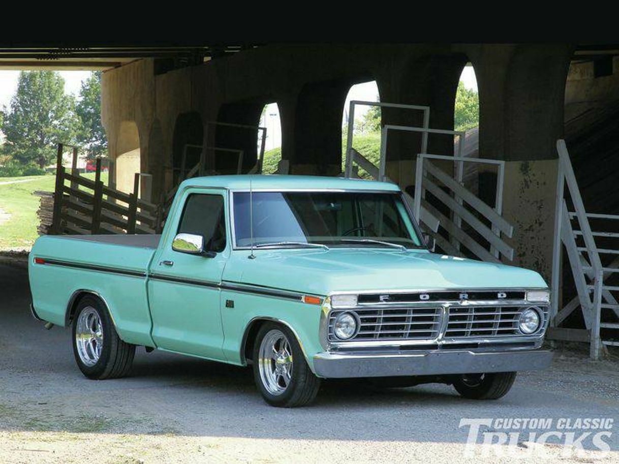 Social Ford F-100 1976