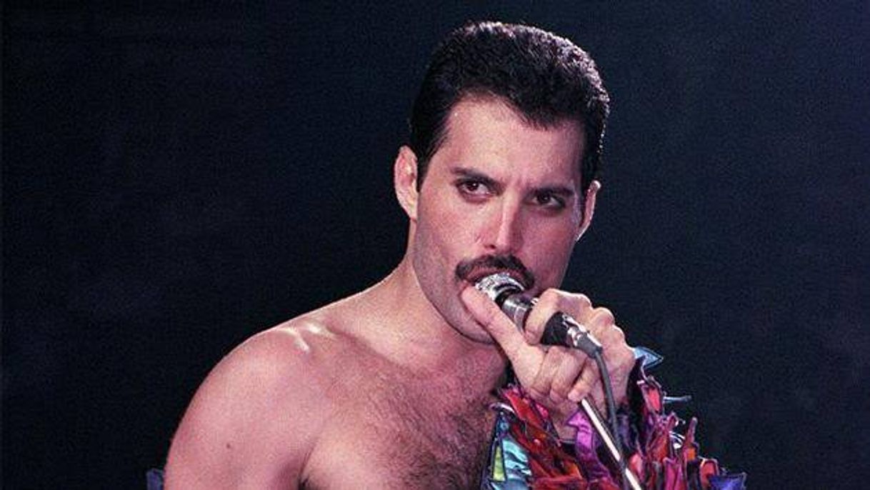 Fashion Freddie Mercury